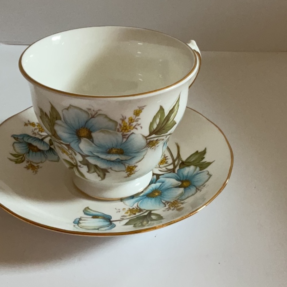 Vintage Queen Anne bone china cup and saucer.